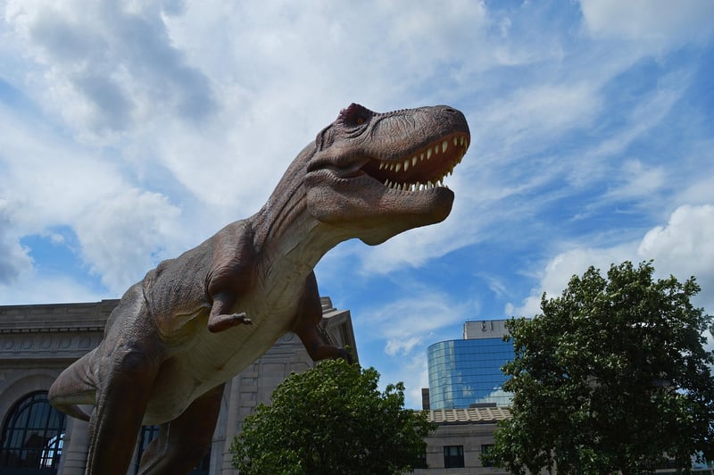 Natural History Museum